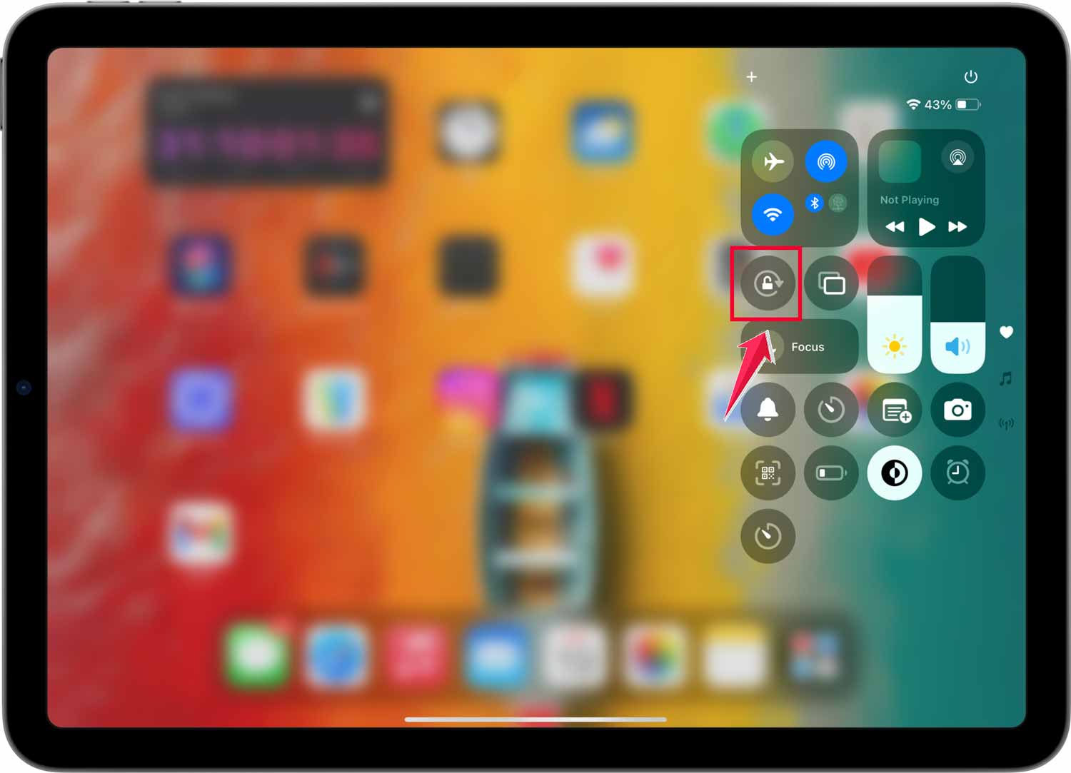 click on the screen rotation ipad