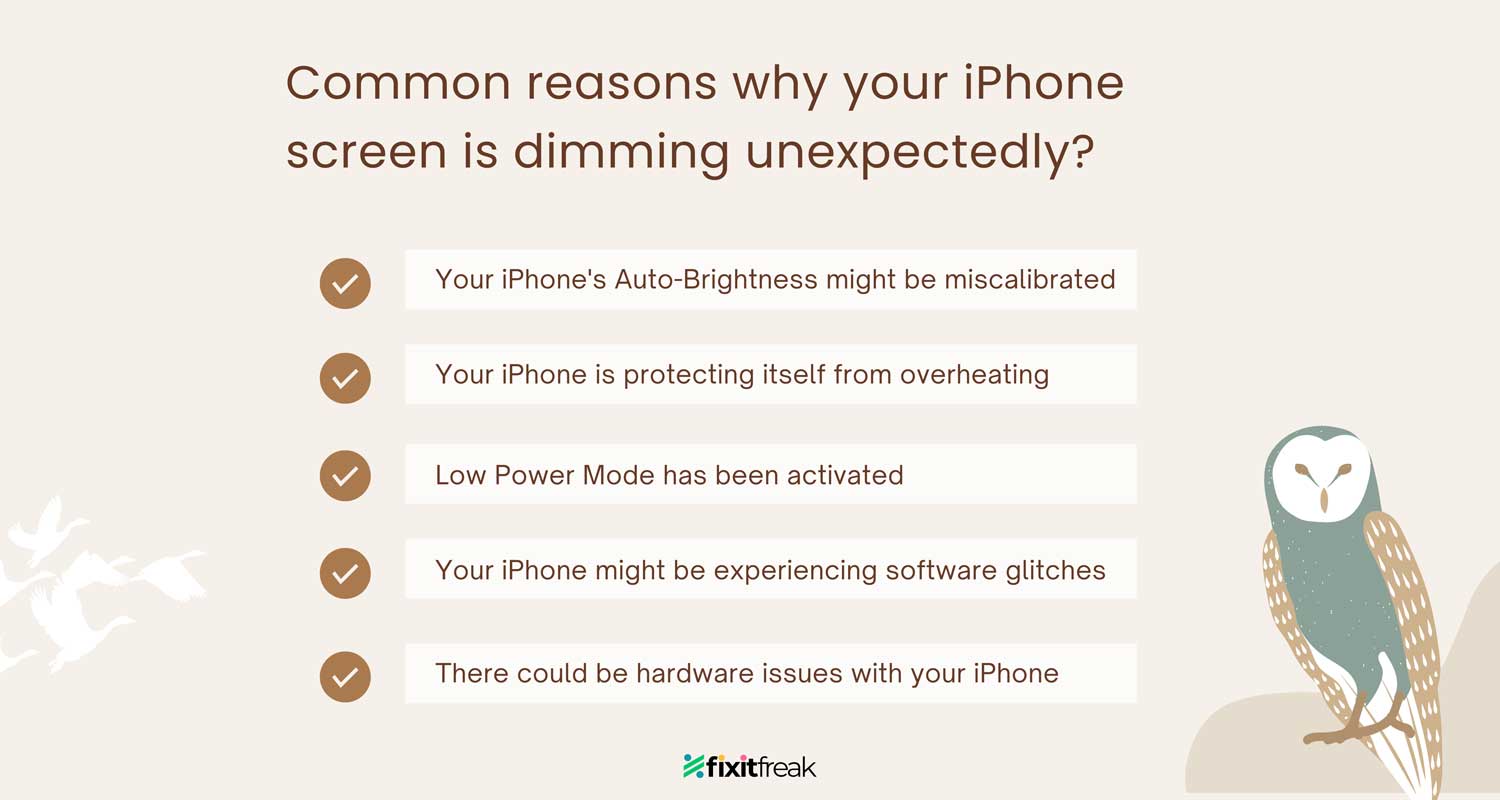Common reasons for why your iPhone screen is dimming unexpectedly