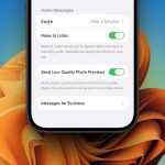 do voice messages disappear before being read featured