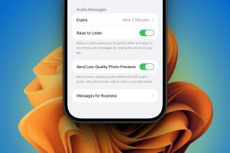 do voice messages disappear before being read featured