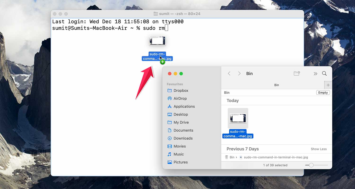drag and drop the files from the bin in terminal in mac