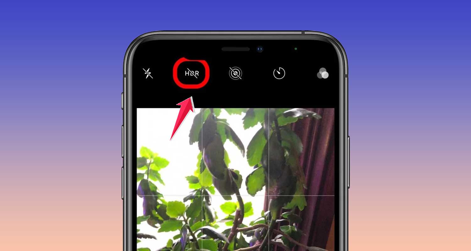 Enable HDR for dynamic lighting conditions