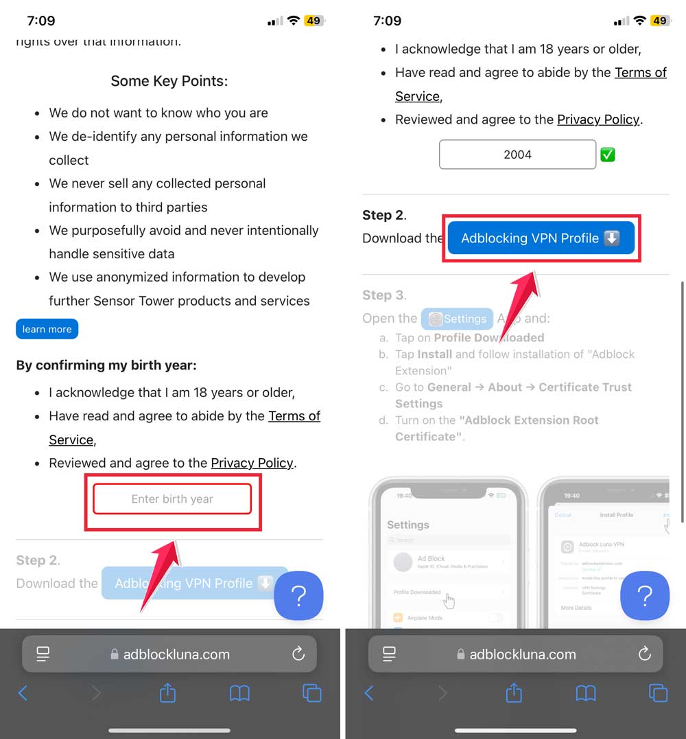 enter birth year then click on adblocking vpn profile enter birth year then click on adblocking vpn profile