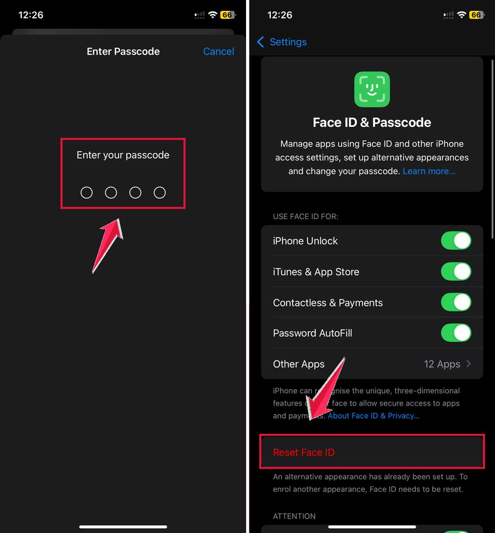 enter your passcode then tap on reset face id