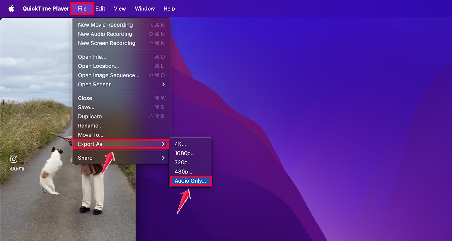 file export as then click on audio only