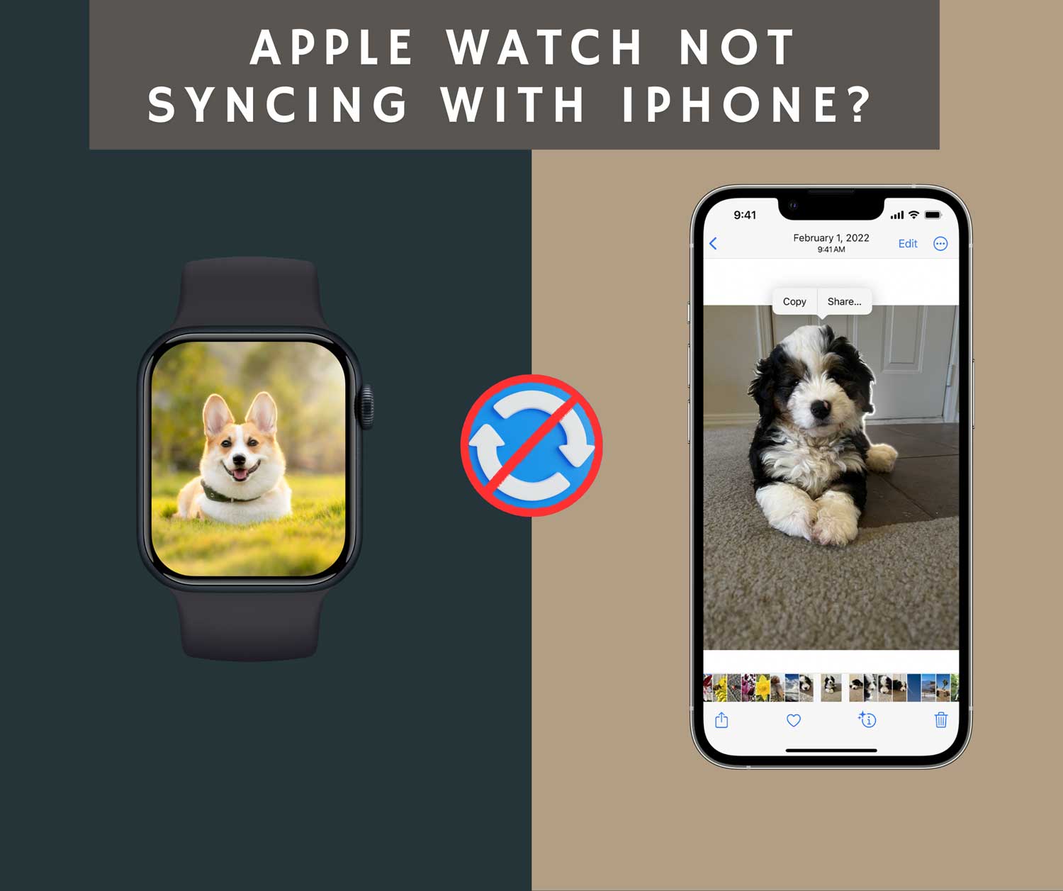 fix apple watch not syncing with iphone featured