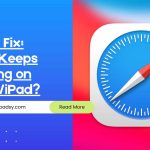 fix safari keeps crashing featured