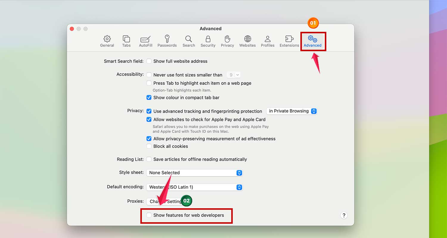 go to advanced tab in safari in mac xl