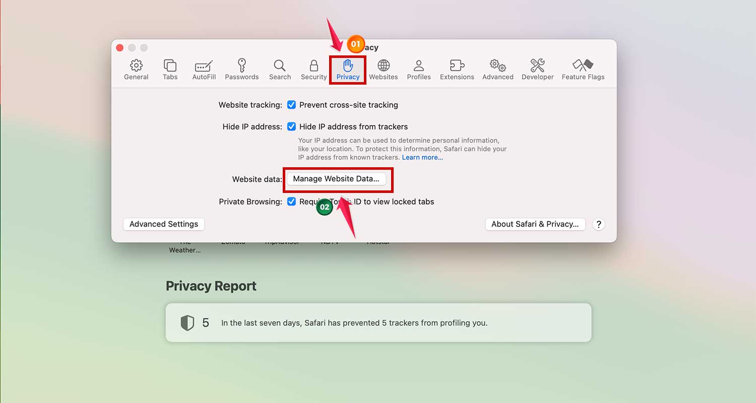 go to privacy and then manage website data in safari in mac xl