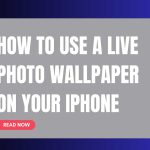 how to use live photo wallpaper on iphone featured