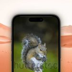 how to watermark photos on iphone featured
