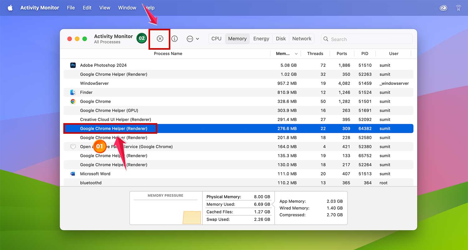 quit a process in memory tab in activity monitor in mac xl