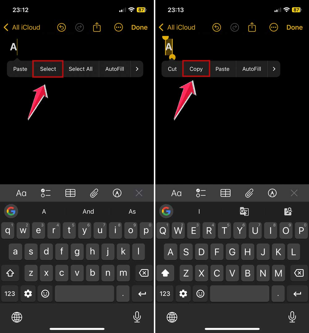 select and copy text in notes app in iphone
