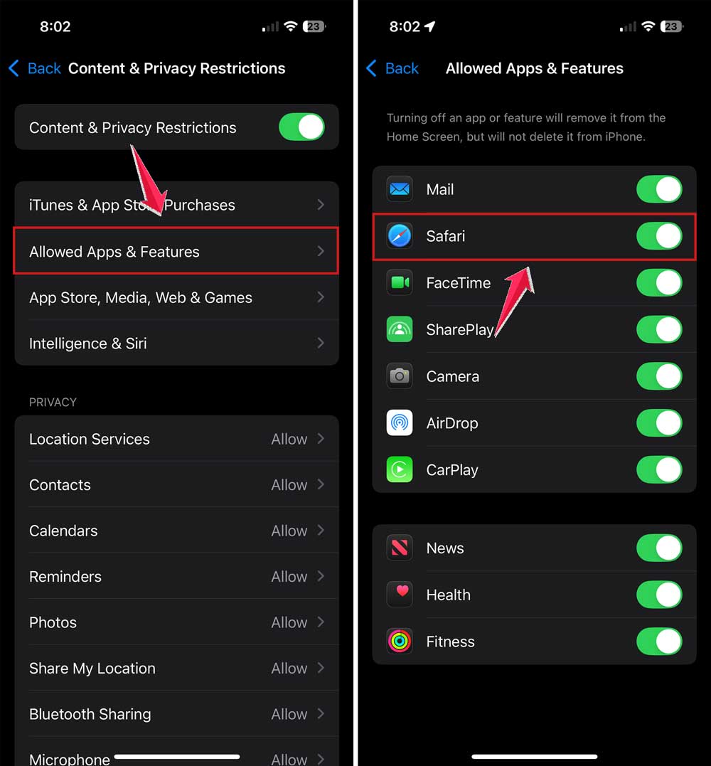 tap on allowed apps and then turn on safari in settinga in iphone
