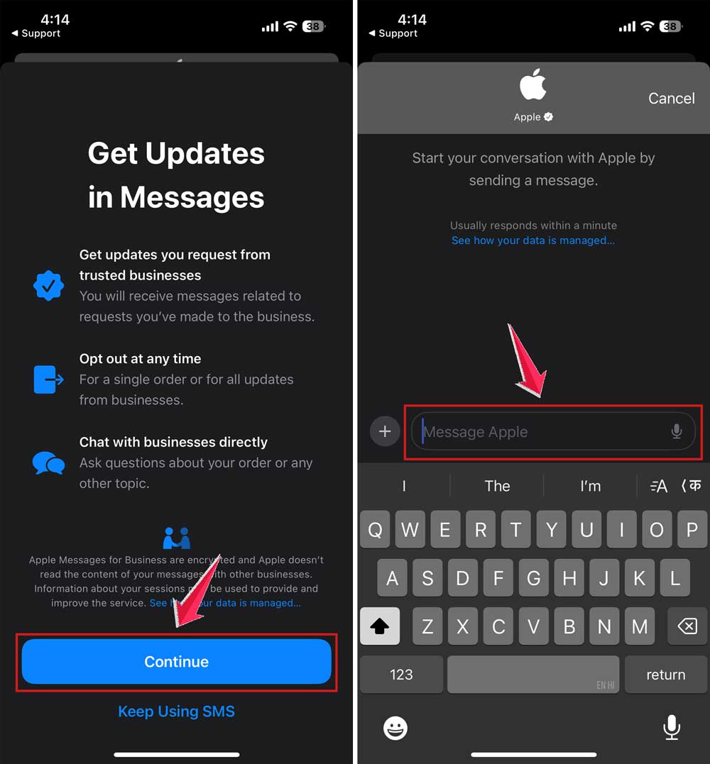 tap on continue and then type your message to support in iphone
