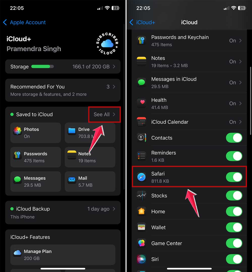 tap on see all and then make sure safari is turned on in settings in iphone