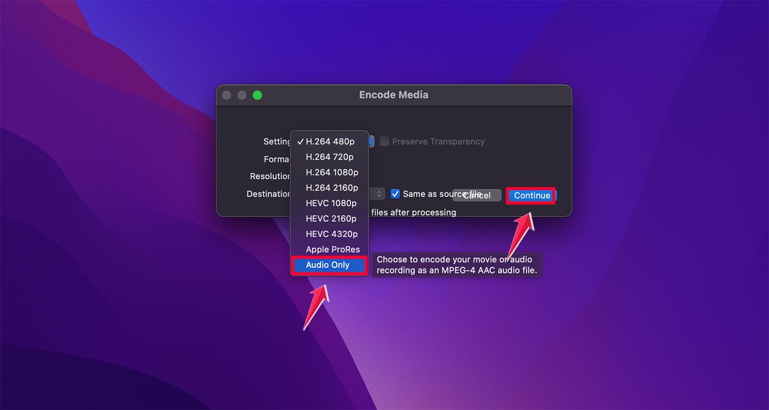 tap settings then select the audio and click on continue