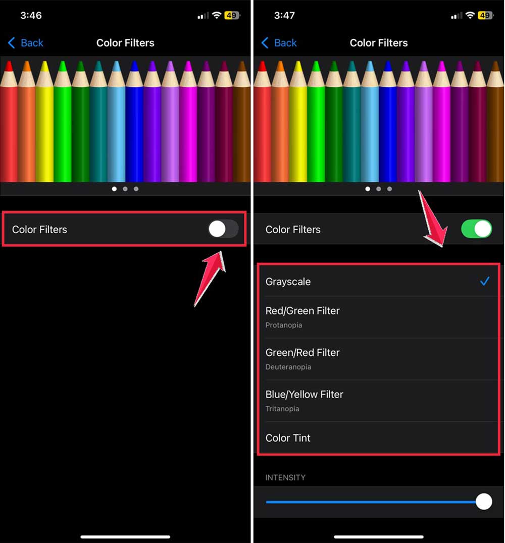 turn on color filter then select the grayscale