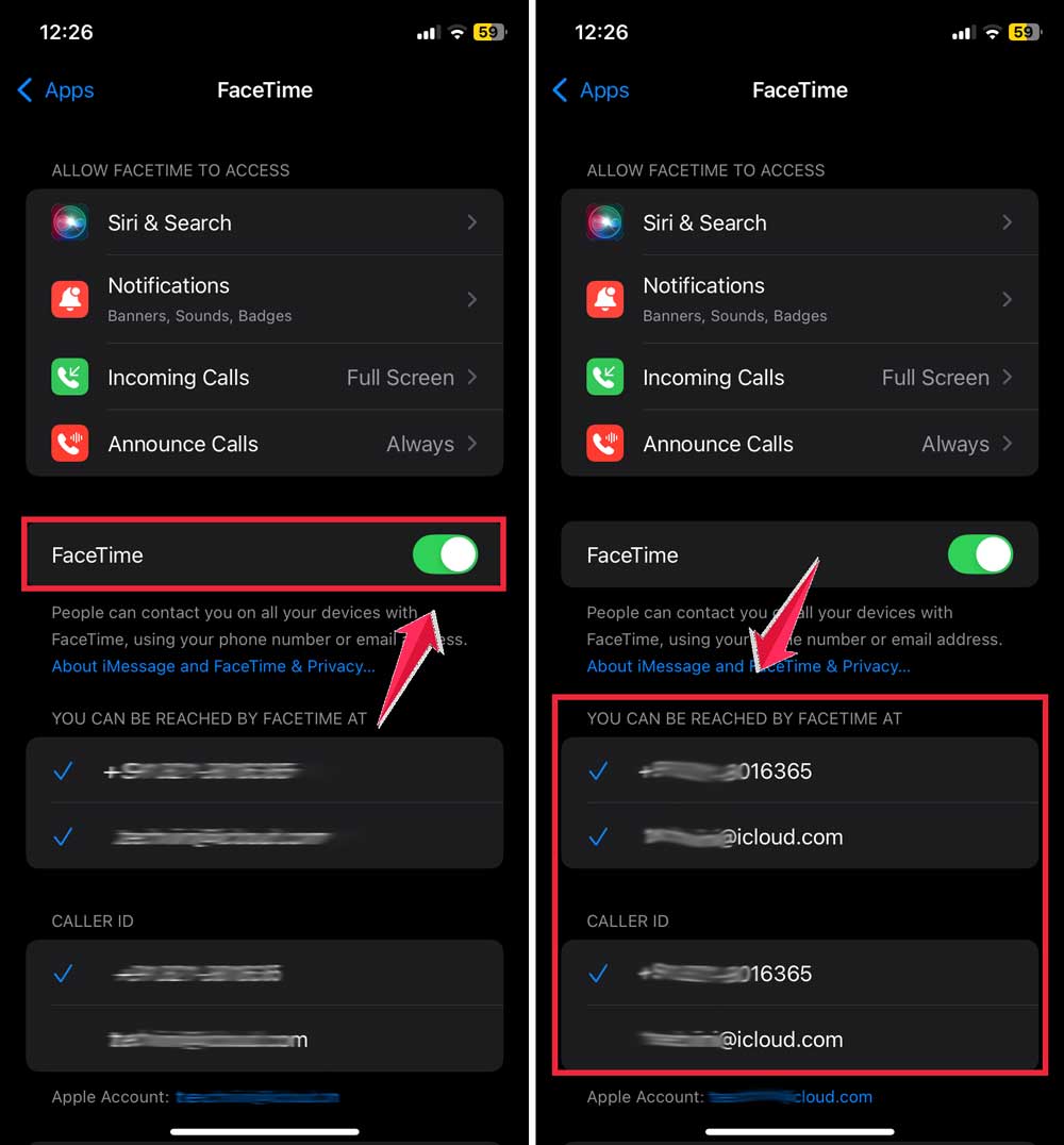 turn on facetime then check apple id and mobile number