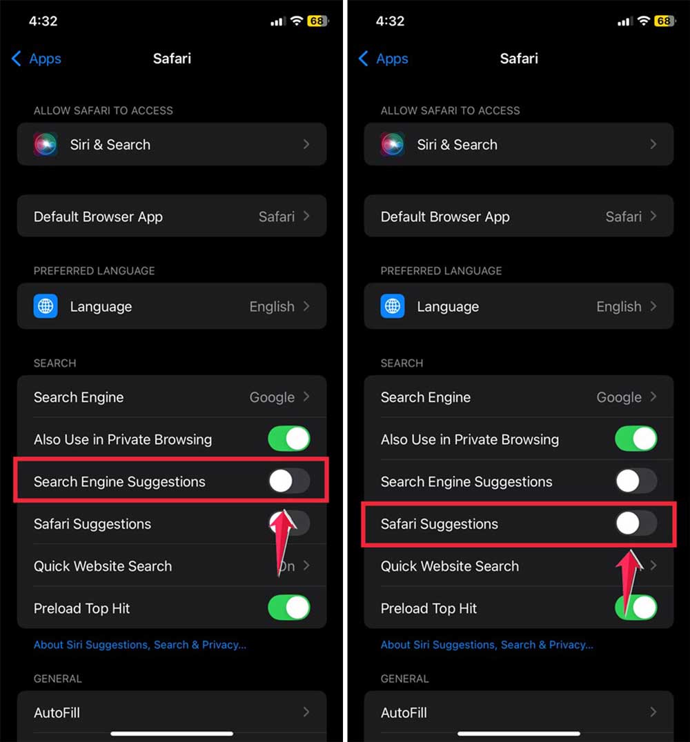 turn on search engine suggestions then turn on safari suggestions