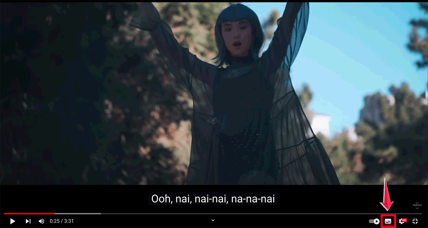 youtube substitles mac